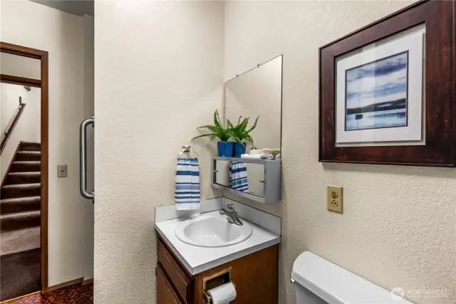 Lower level bathroom.