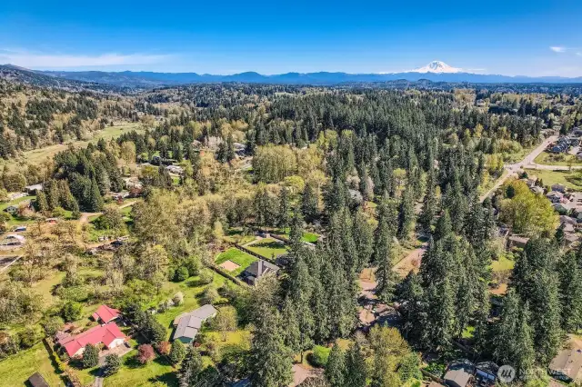 Beautifully rural yet conveniently close, this May Valley gem offers the perfect balance of tranquility and accessibility. Located in the desirable Renton Highlands area within the top-rated Issaquah School District—just minutes from Eastside hubs like Issaquah, Sammamish, and Bellevue.