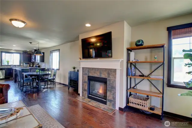 Gas fireplace