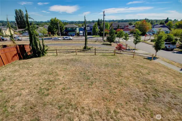 Large backyard