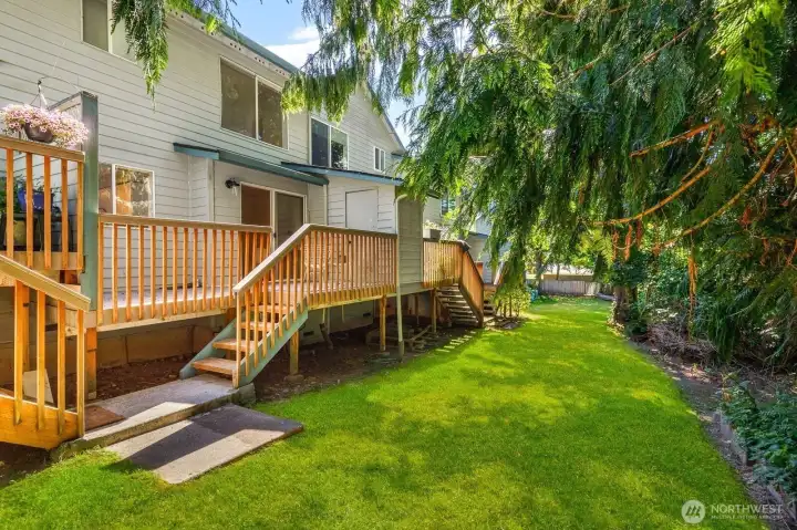 Spacious backyard with a large entertaining deck, lush lawn, and mature evergreens offering both privacy and tranquility.