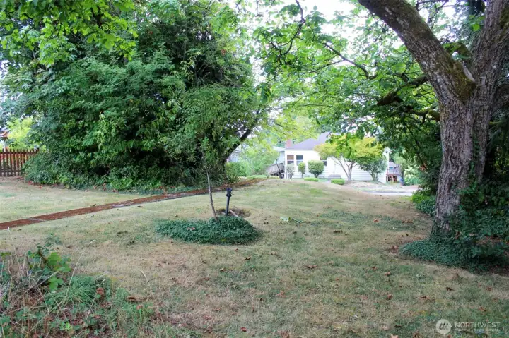 Nice front lot