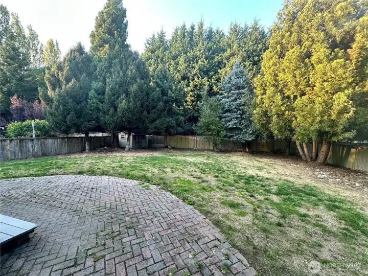 Backyard