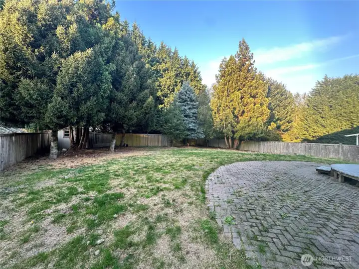 Backyard