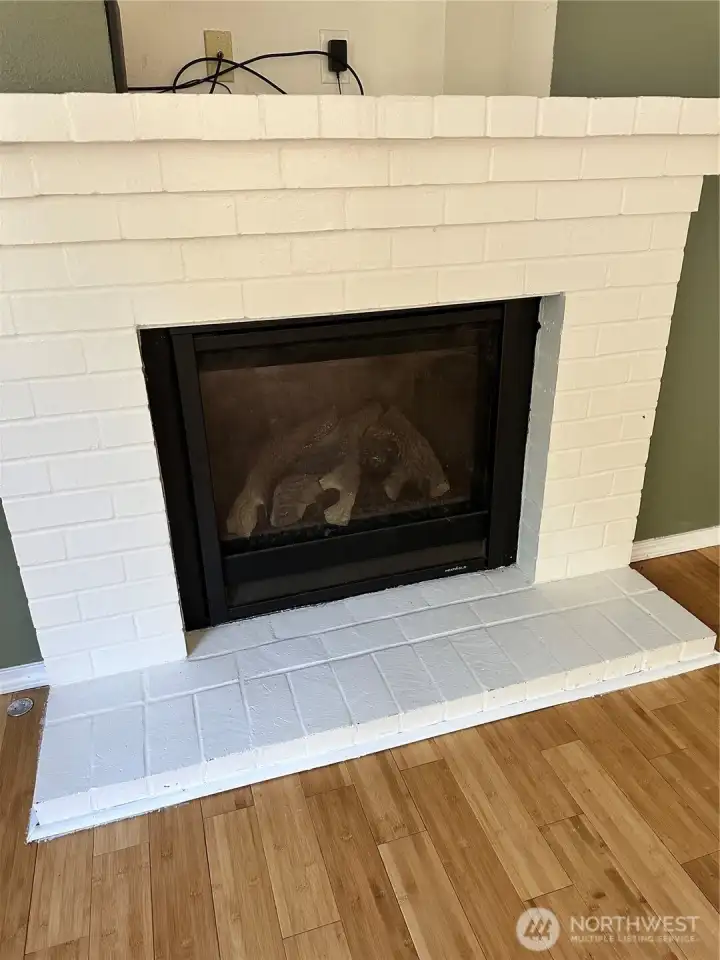 Gas Fire Place