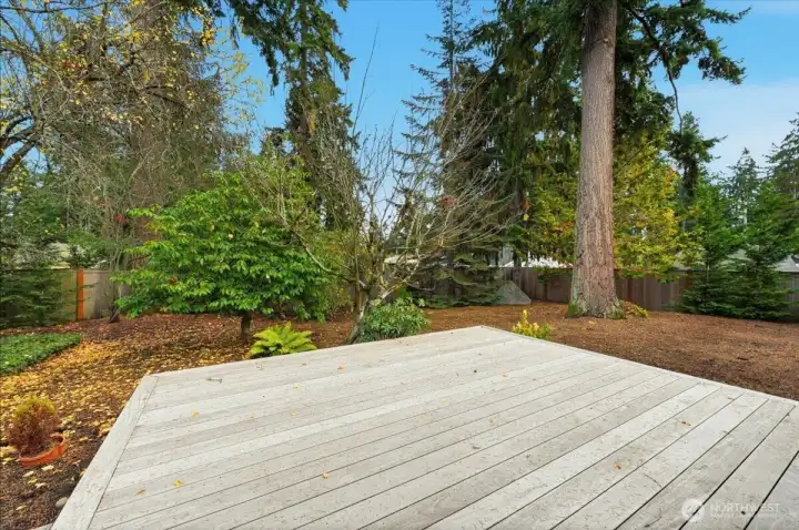 Plenty of room for outdoor living.