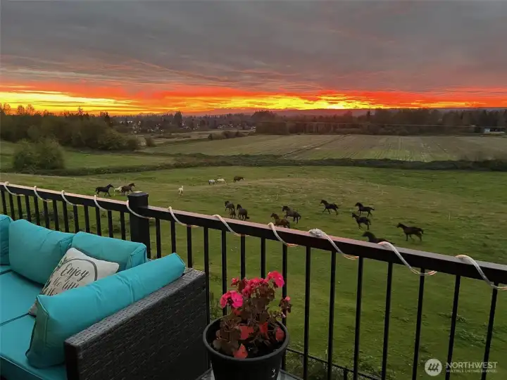 view with morning coffee