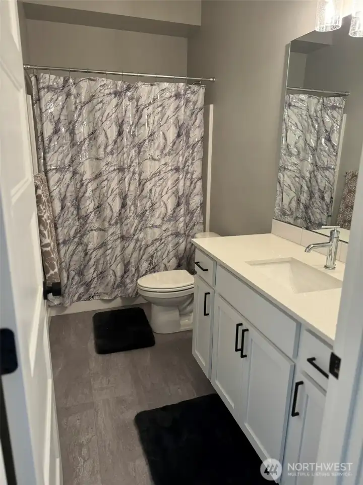 Lower level bathroom