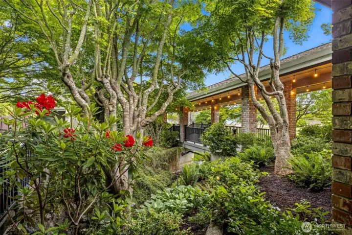 Mature trees and shrubs with a sprinkler system Mature trees and shrubs with a sprinkler system