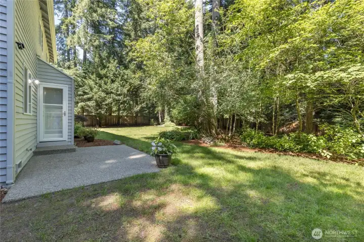 Peaceful backyard retreat featuring a canopy of mature trees that provide natural shade and exceptional privacy.
