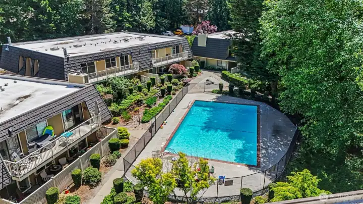 Pristine Pool area