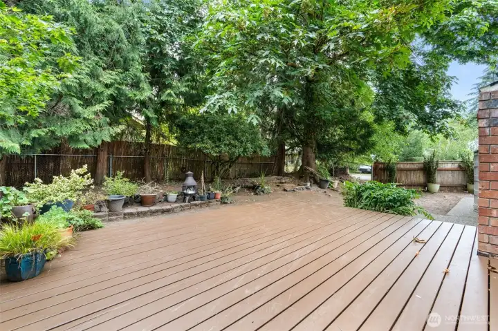 Backyard deck