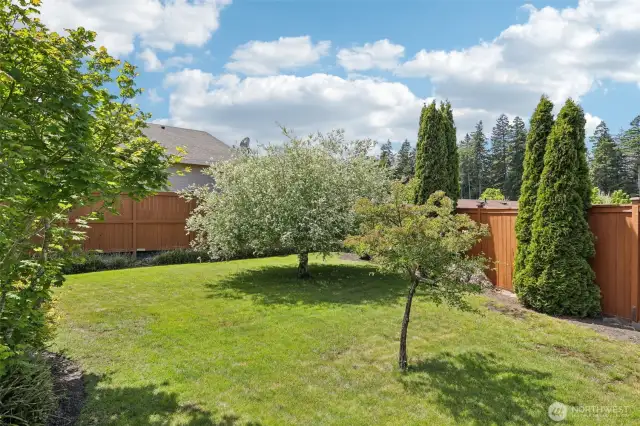 Landscaped, private yard