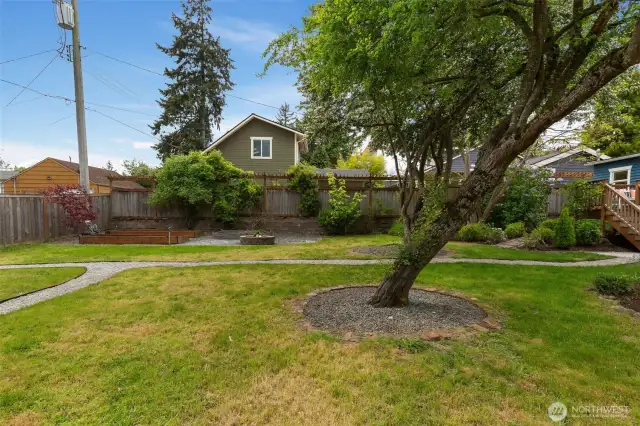 Huge, oversized lot off the alley
