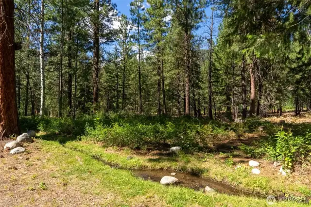 Cool your toes in the small stream or step across to explore the forest beyond.
