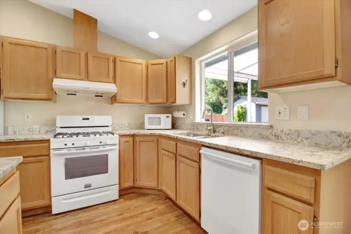 View out to the backyard and greenbelt while you are doing dishes.