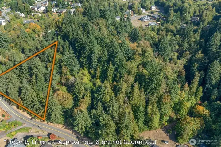 Lot Lines Show are an Estimate Only. Buyer to Verify.