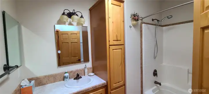 Guest Bath