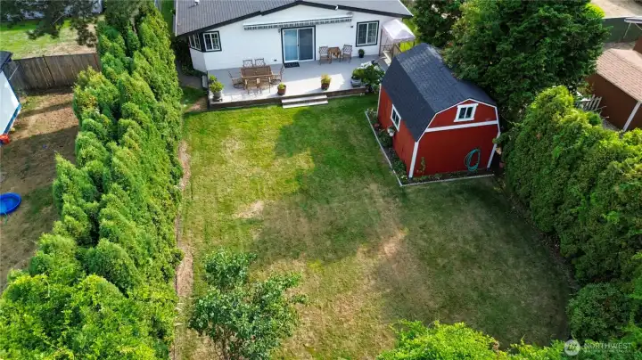 Backyard