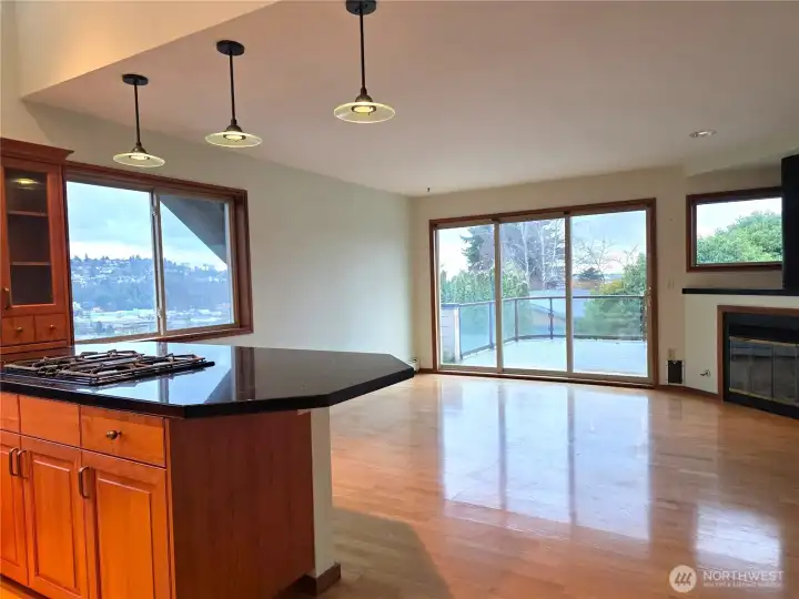 Kitchen to great room