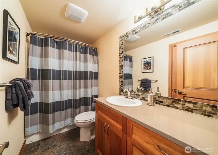 Lower level bathroom 1