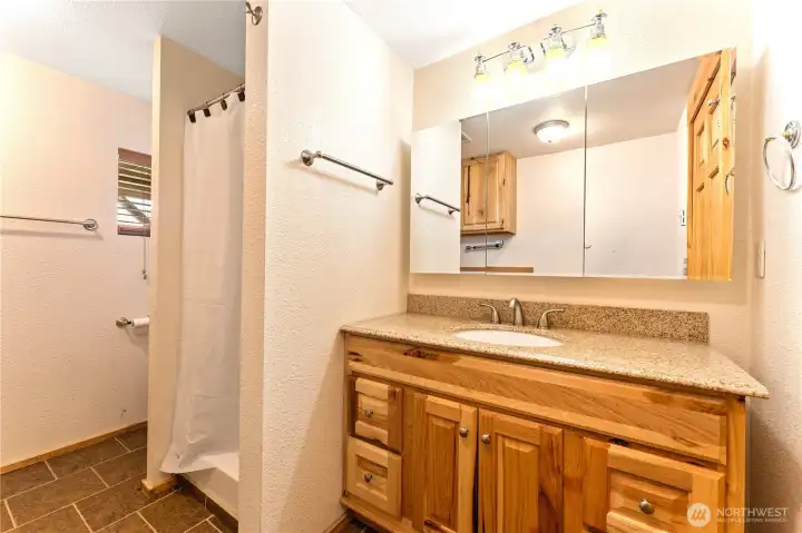 Lower Level Bathroom - View 2.