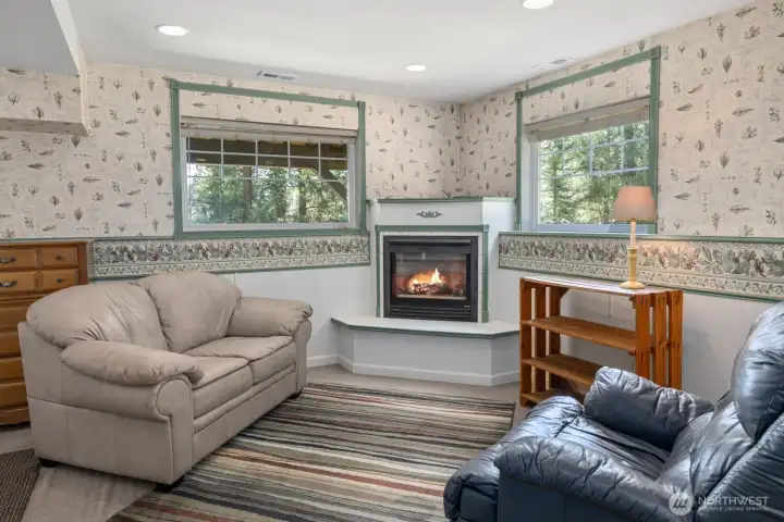 Daylight Basement with gas fireplace