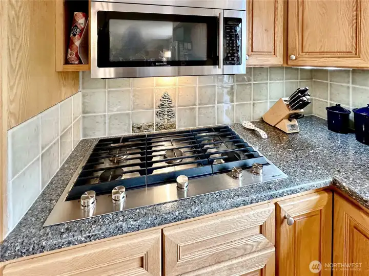 Close up view of the gas cook-top.