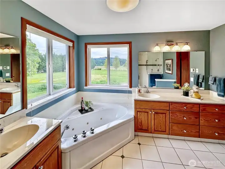 Close up view of the primary jetted tub...where you can relax after a long day.