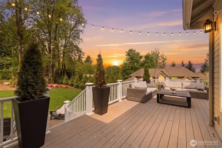 Amazing summer nights await!