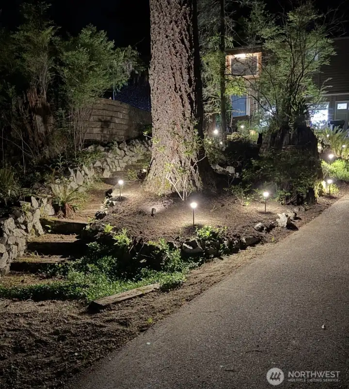 Recently installed landscape lighting