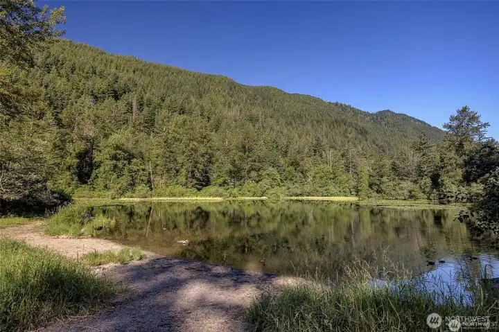 Brewster Lake @ HOA Park