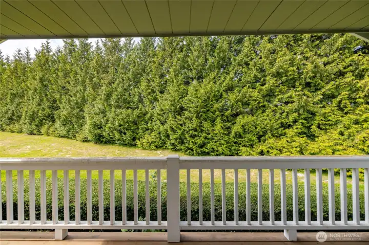 Covered back porch, backed to greenbelt area