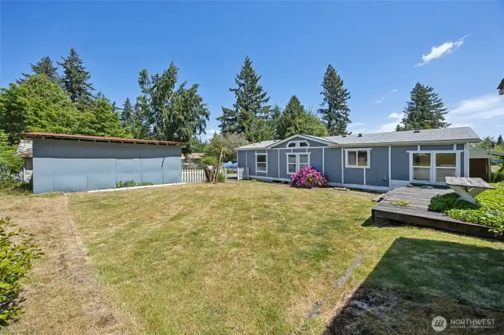 large backyard