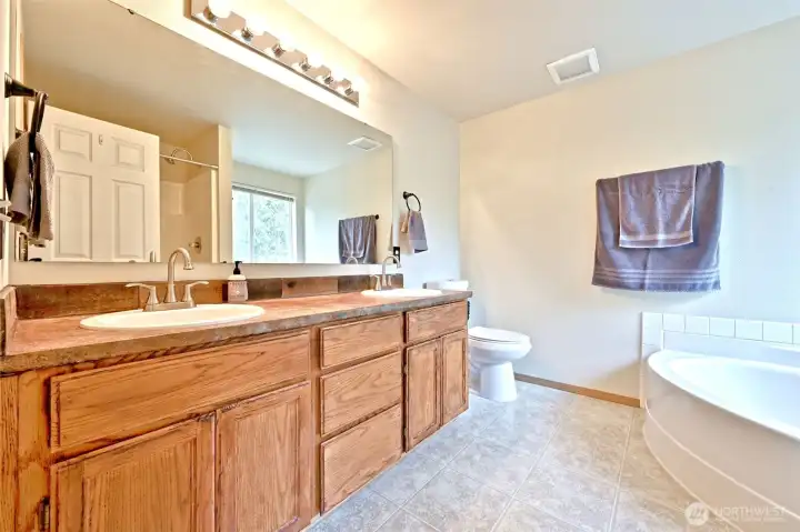 Dual Sinks Dual Sinks