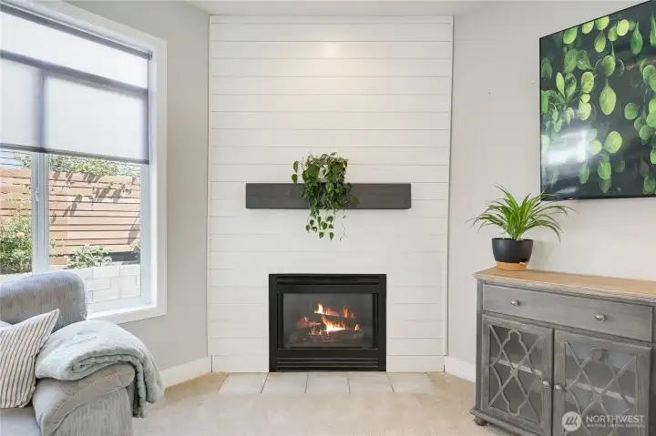 Fireplace Fireplace
