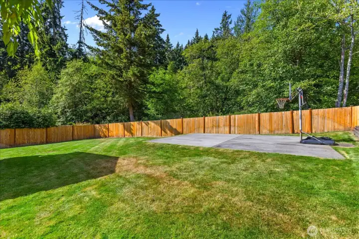 Large backyard for games