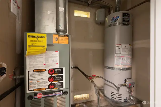 Gas Fired Hot Water Tank and Furnace