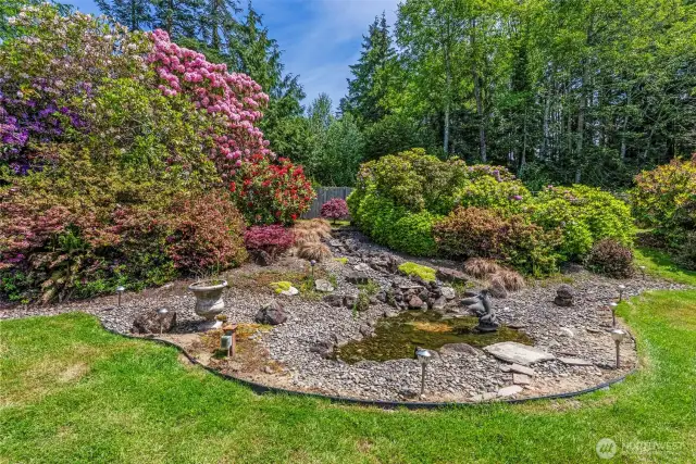 Beautiful water feature surrounded by mature rhodies, azalea and more!