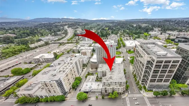 Spacious & stylish living in the heart of Bellevue! Walk to everything!