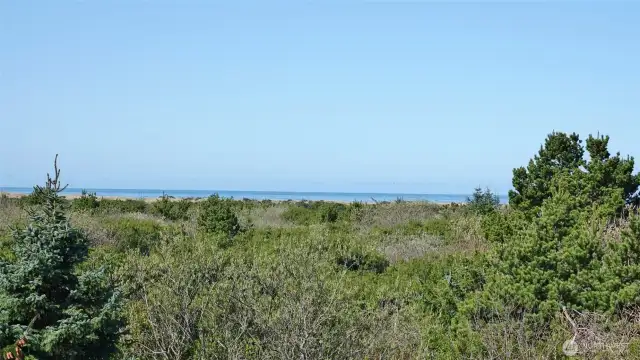Views of the Dune Area and the Ocean.