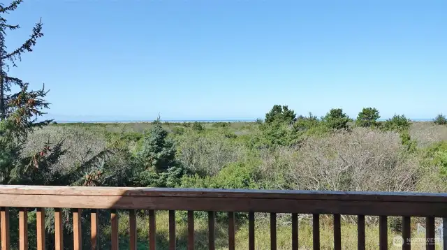 Overlooking the Dunes Area and the Ocean.
