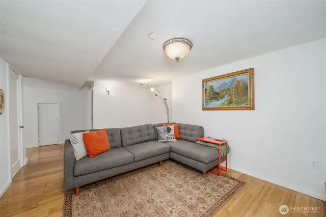 Lower Family Room