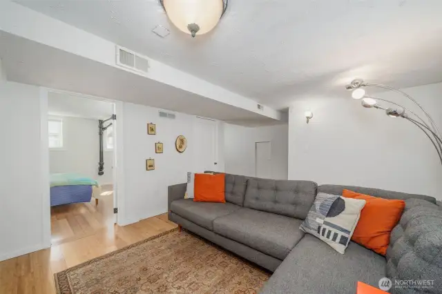 Lower Family Room