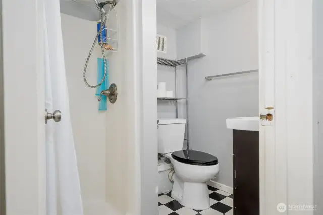 Lower level bath