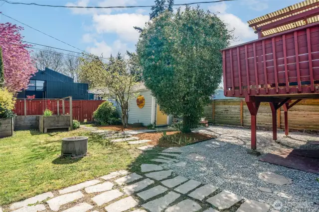 Back yard
