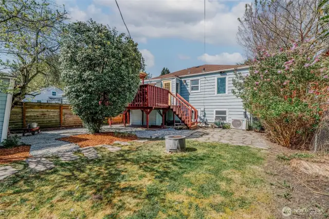 Back yard