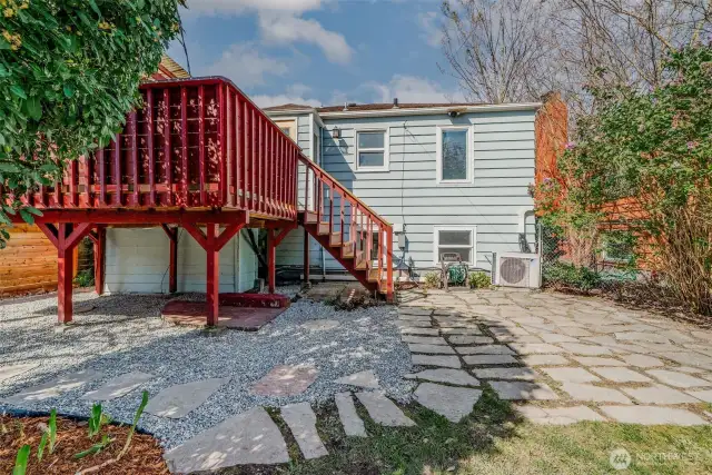 Back yard