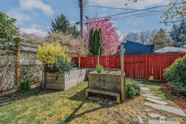 Back yard