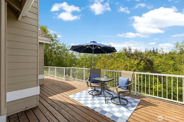Step out onto the huge deck! Relax and enjoy the peaceful surroundings.